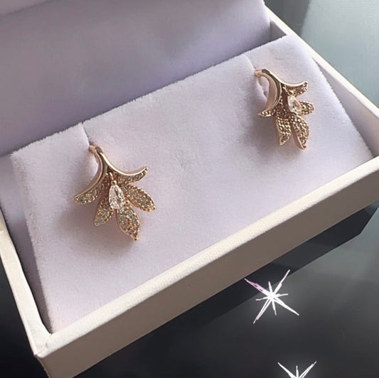 Caravanas con cristales