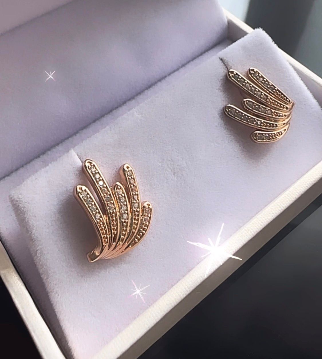 Caravanas de circonias