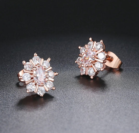 Caravanas de circonias